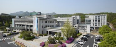 비엣비즈코리아