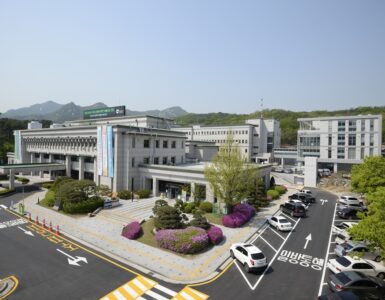 비엣비즈코리아