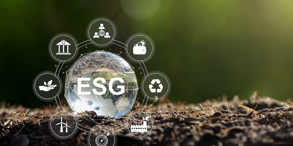 비엣비즈코리아