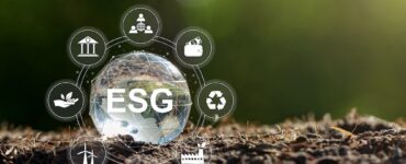 비엣비즈코리아