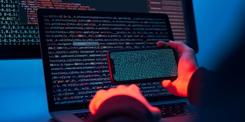 비엣비즈코리아