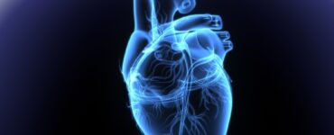 비엣비즈코리아