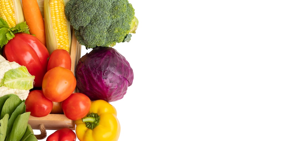 비엣비즈코리아