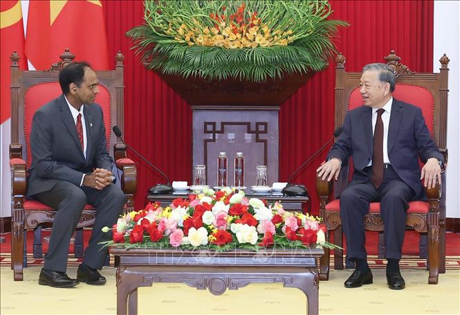 비엣비즈코리아