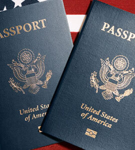 비엣비즈코리아