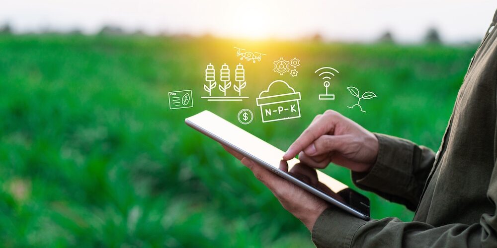 비엣비즈코리아