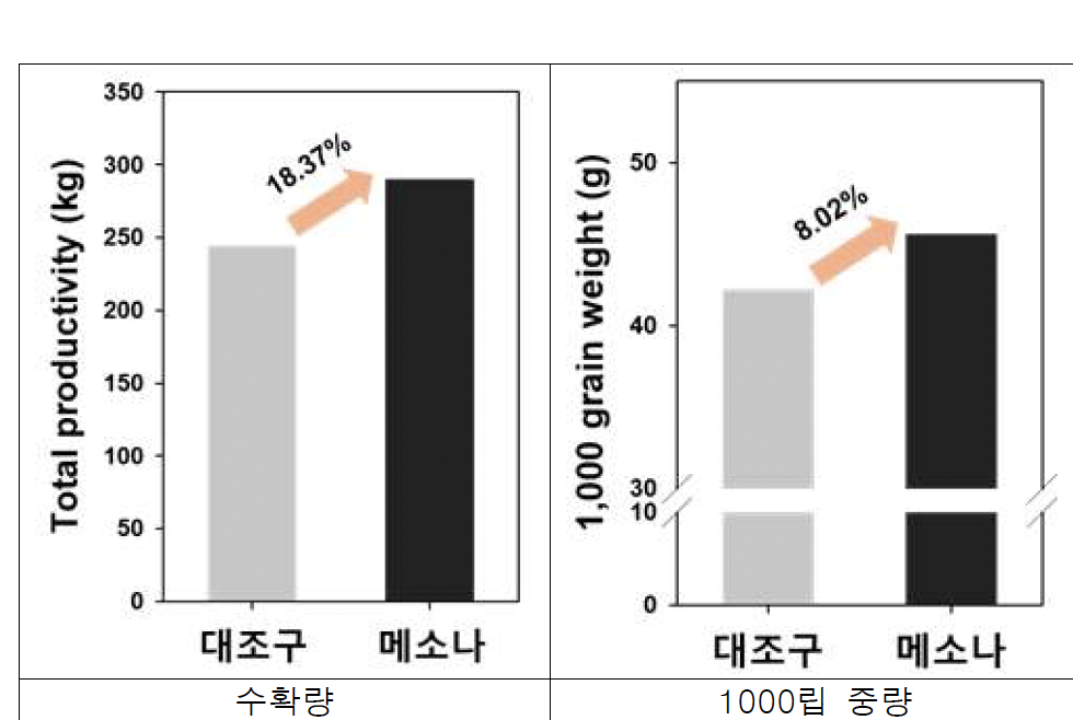 비엣비즈코리아