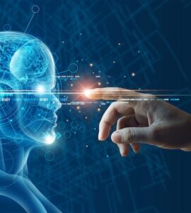 비엣비즈코리아