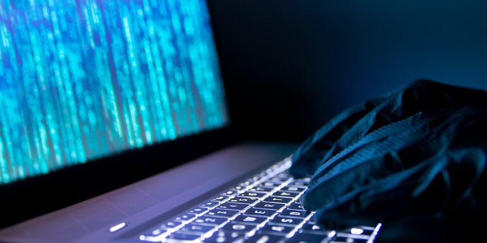 비엣비즈코리아