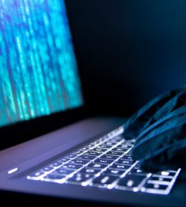 비엣비즈코리아