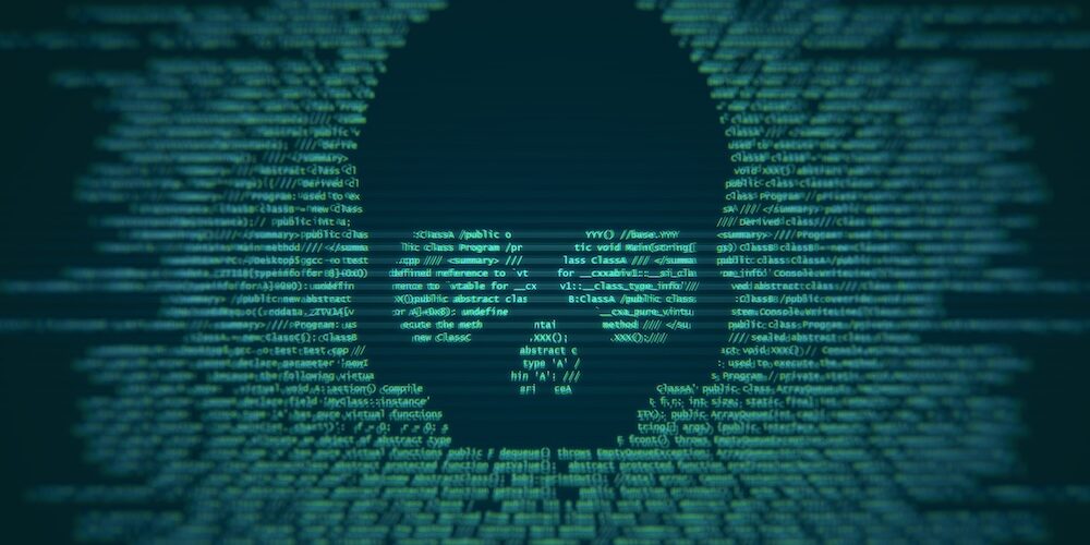 비엣비즈코리아