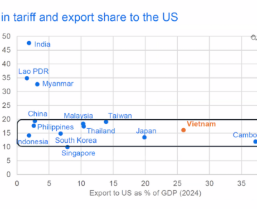 비엣비즈코리아