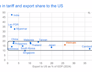 비엣비즈코리아