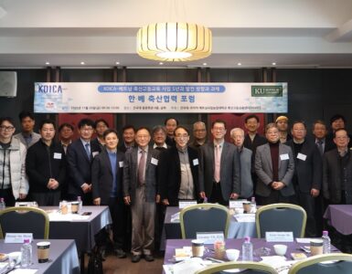 비엣비즈코리아