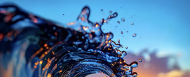 비엣비즈코리아