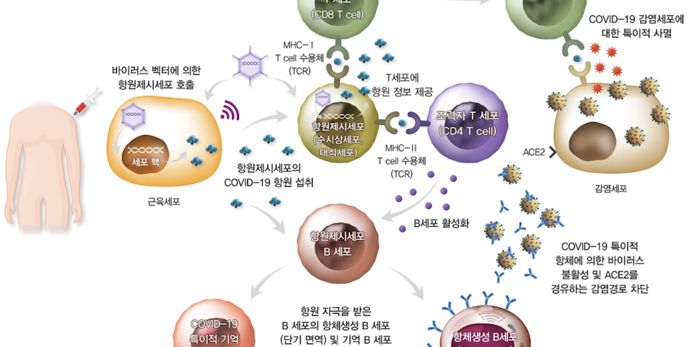 비엣비즈코리아