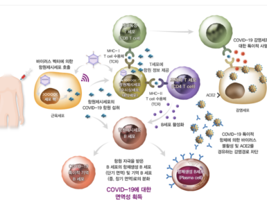 비엣비즈코리아