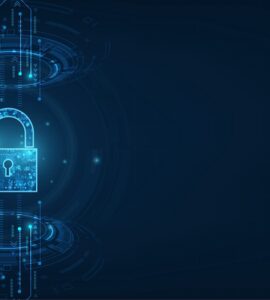 비엣비즈코리아