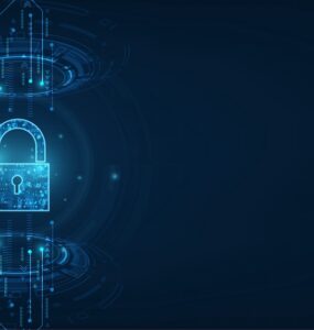 비엣비즈코리아