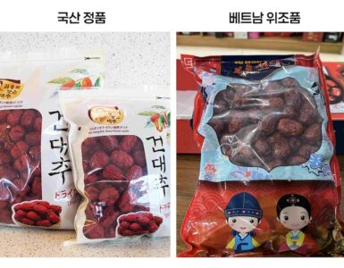 비엣비즈코리아