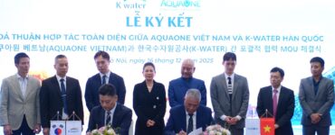 비엣비즈코리아