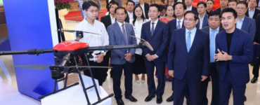 비엣비즈코리아