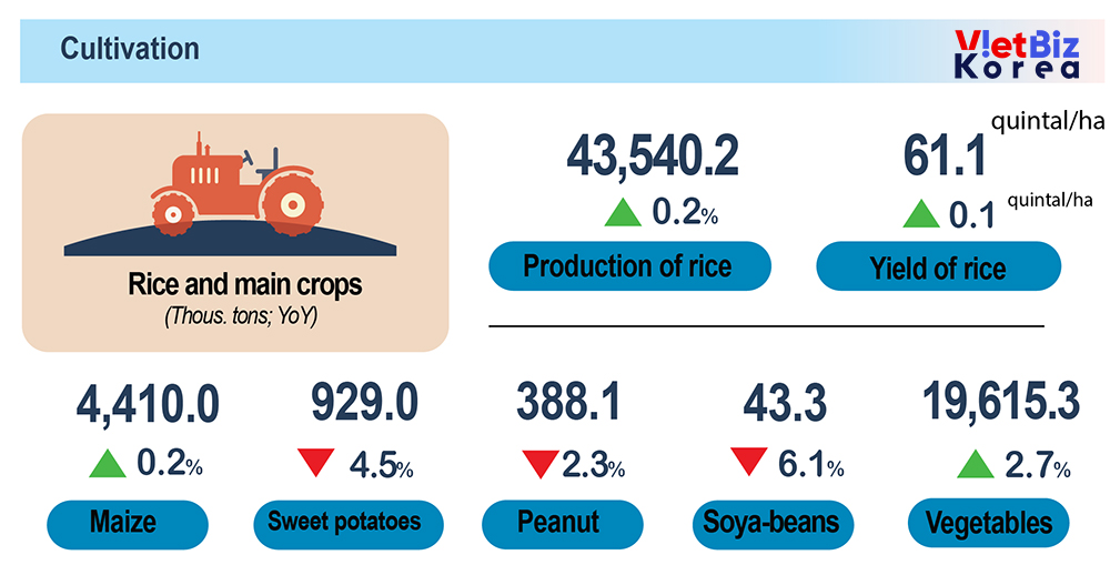 비엣비즈코리아