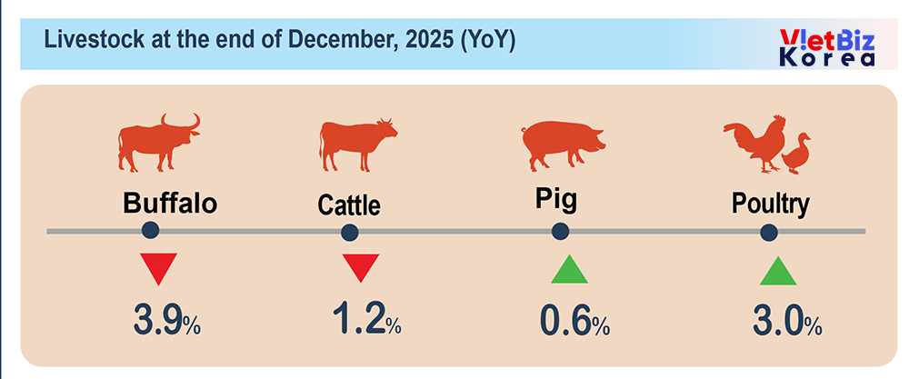 비엣비즈코리아