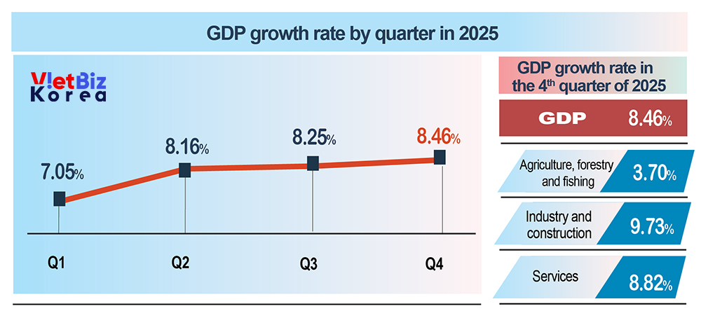 비엣비즈코리아