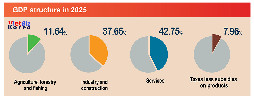비엣비즈코리아