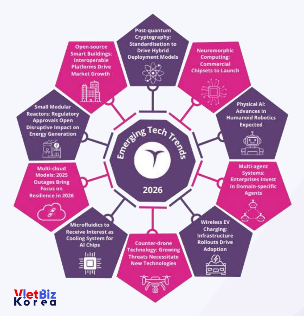비엣비즈코리아