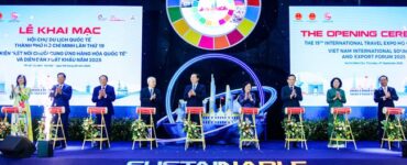 비엣비즈코리아