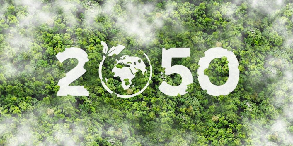 비엣비즈코리아