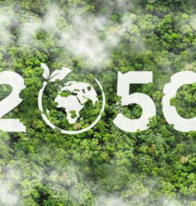 비엣비즈코리아