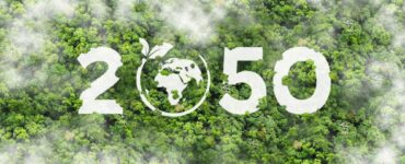 비엣비즈코리아