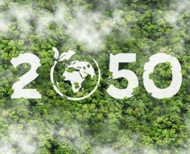 비엣비즈코리아