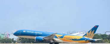 비엣비즈코리아