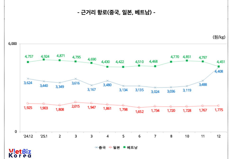 비엣비즈코리아
