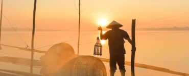 비엣비즈코리아