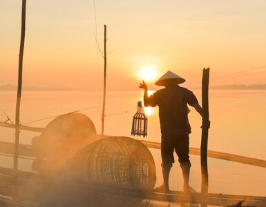 비엣비즈코리아