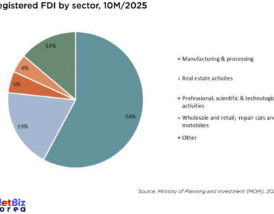 비엣비즈코리아