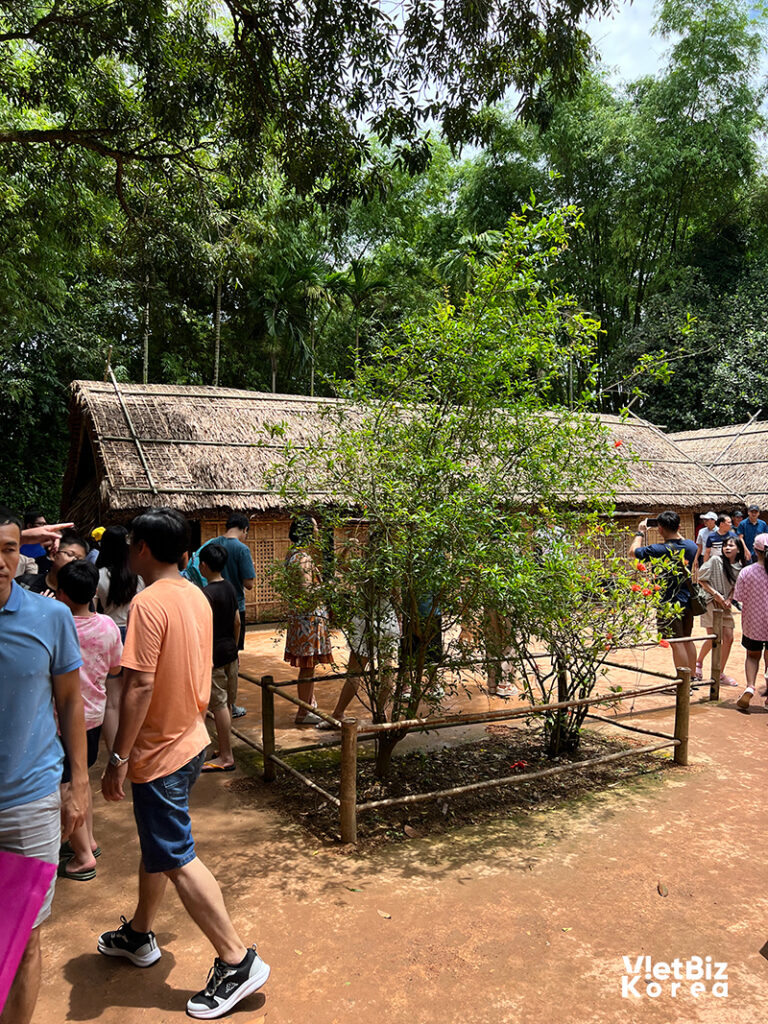 비엣비즈코리아