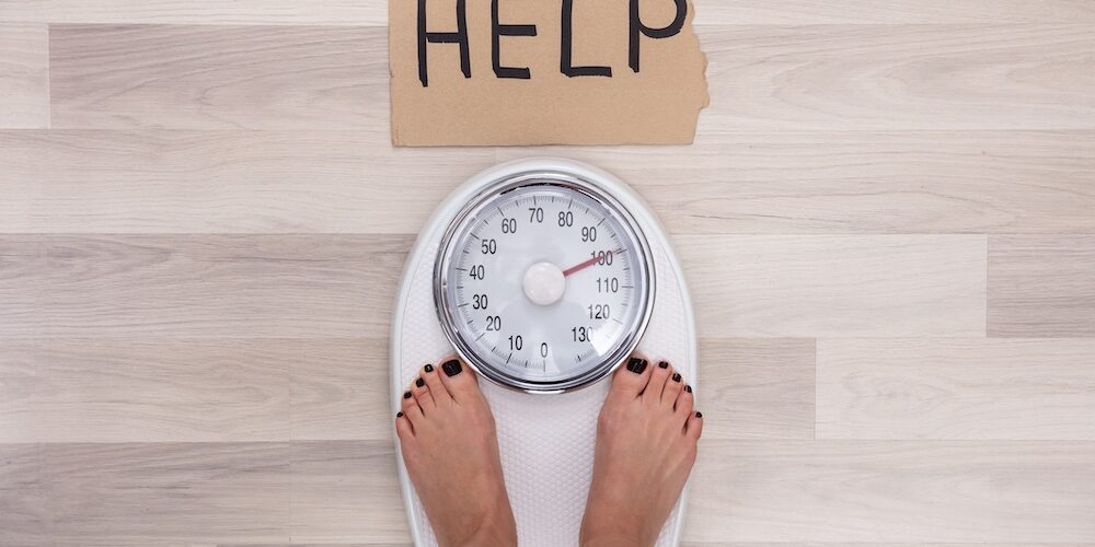 비엣비즈코리아