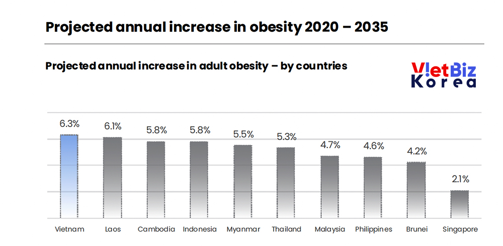 비엣비즈코리아