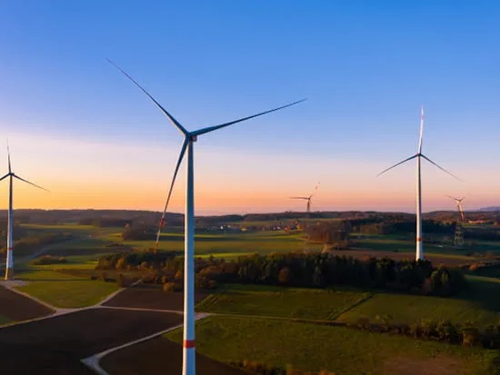 비엣비즈코리아