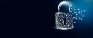 비엣비즈코리아