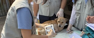 비엣비즈코리아