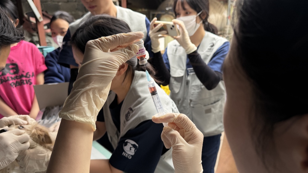 비엣비즈코리아