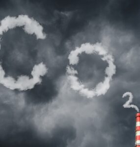 비엣비즈코리아