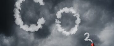 비엣비즈코리아